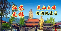 拍鸡嘎巴黄片录像江苏无锡灵山大佛旅游风景区